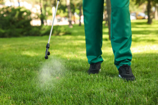 Professional Pest Control in Richmond, CA