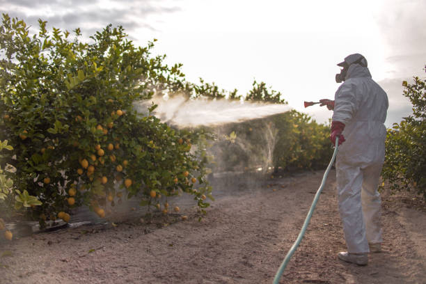 Best Mosquito Control Services  in Richmond, CA