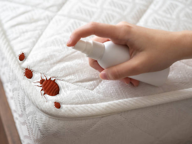 Best Pest Control Treatment  in Richmond, CA